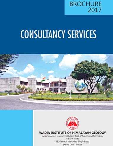 Consultancy Brochure